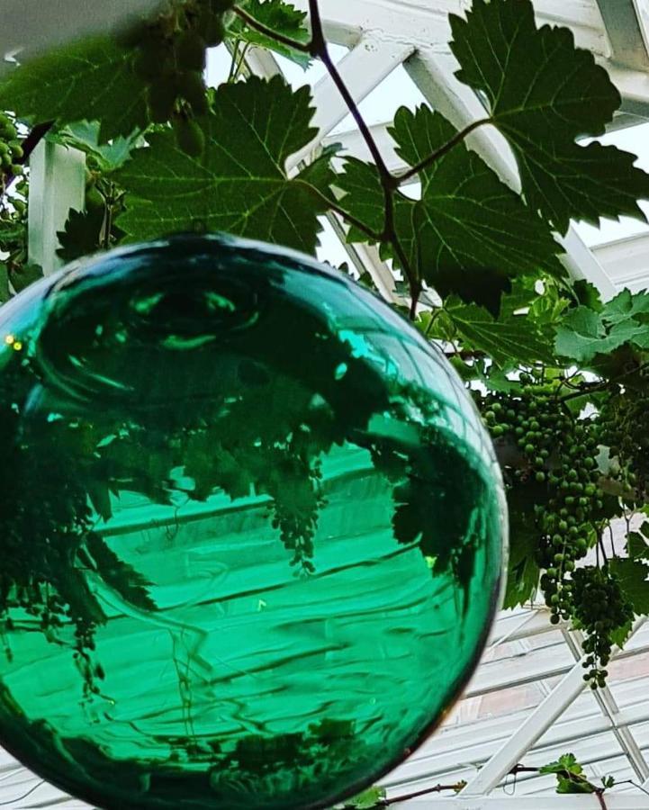 Havings Skafferi Apartment Lysekil Bagian luar foto